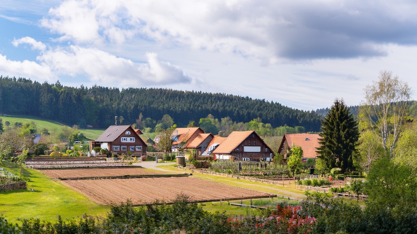 Blick in eine grüne Gartenanlage