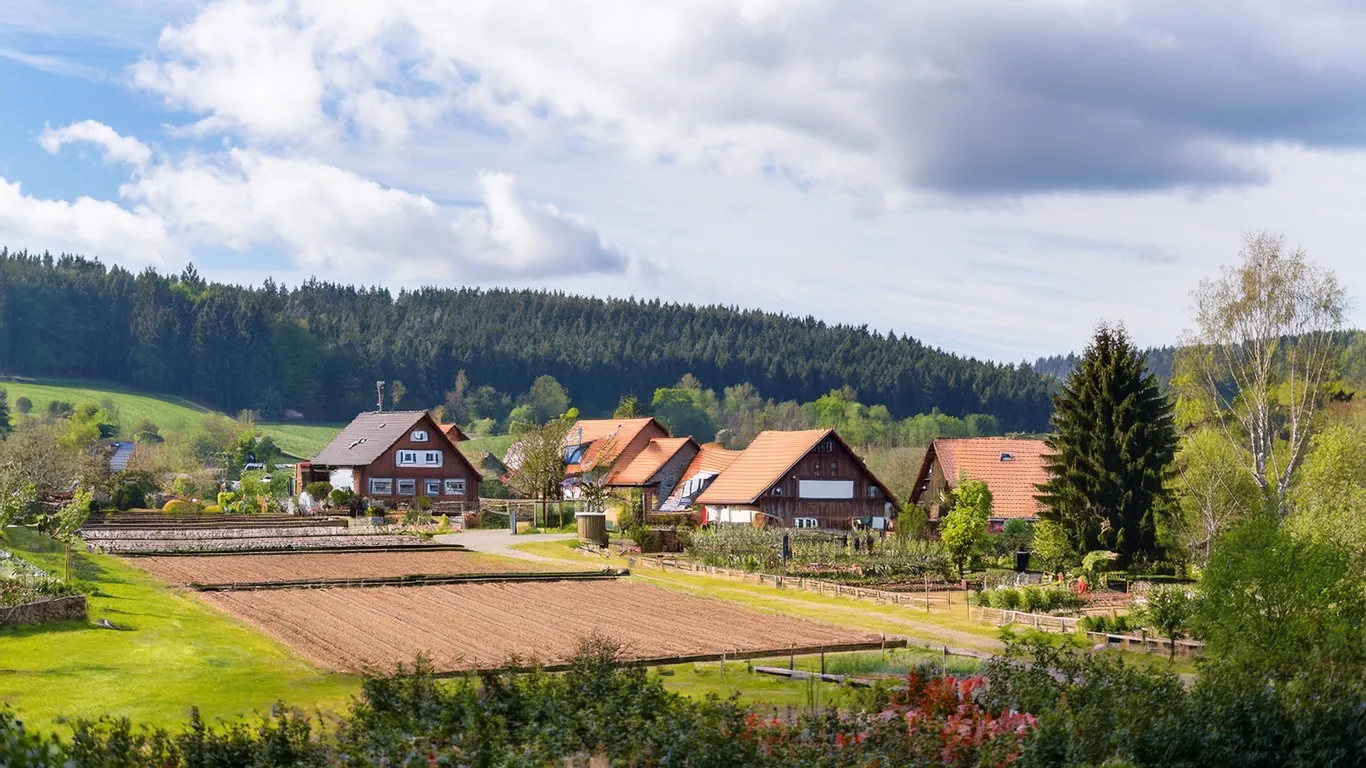 Blick in eine grüne Gartenanlage