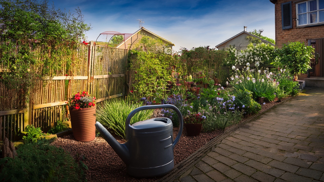 Gartenweg mit Pflanzen